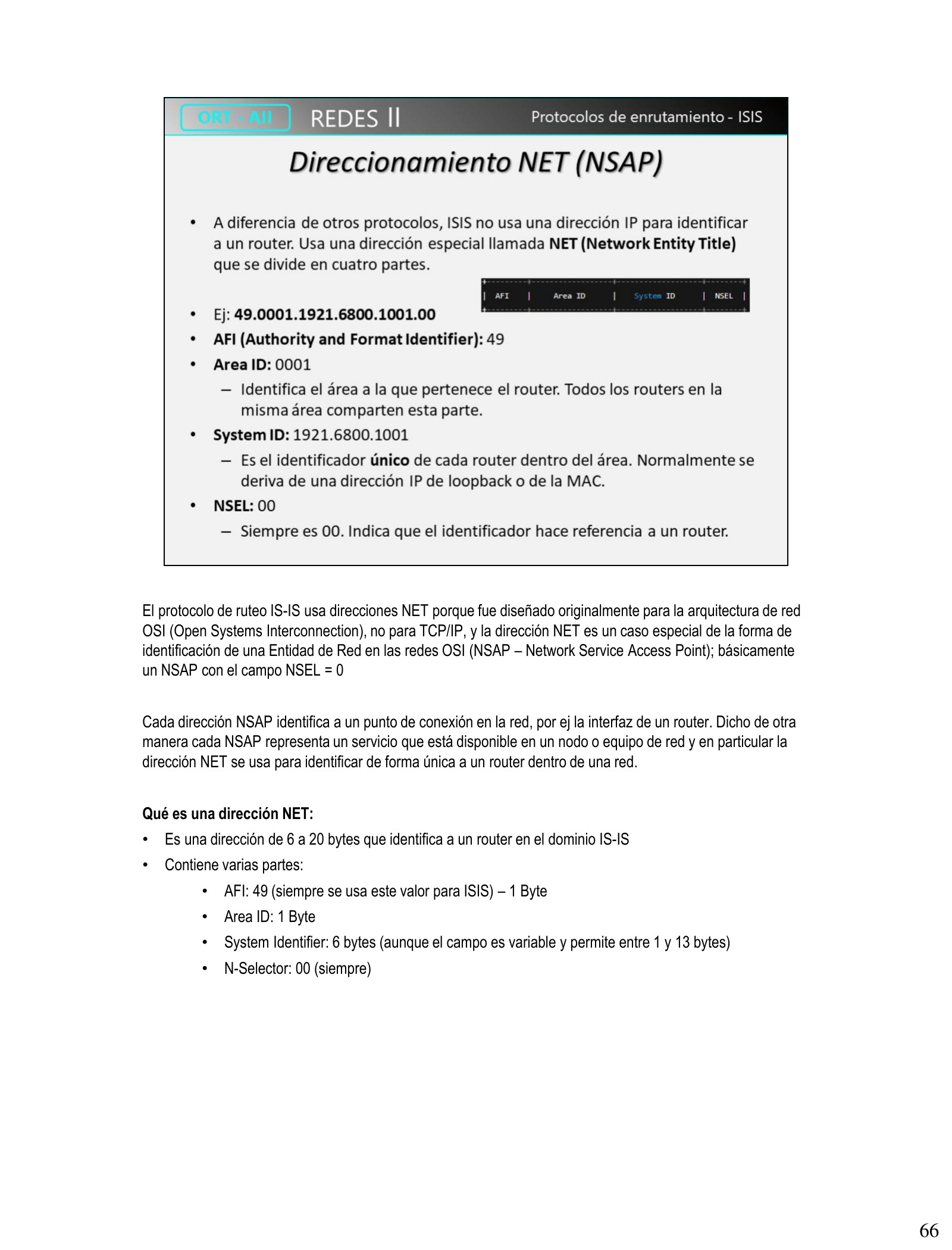 Estructura de dirección NET/NSAP: AFI, Area ID, System ID, NSEL con ejemplo