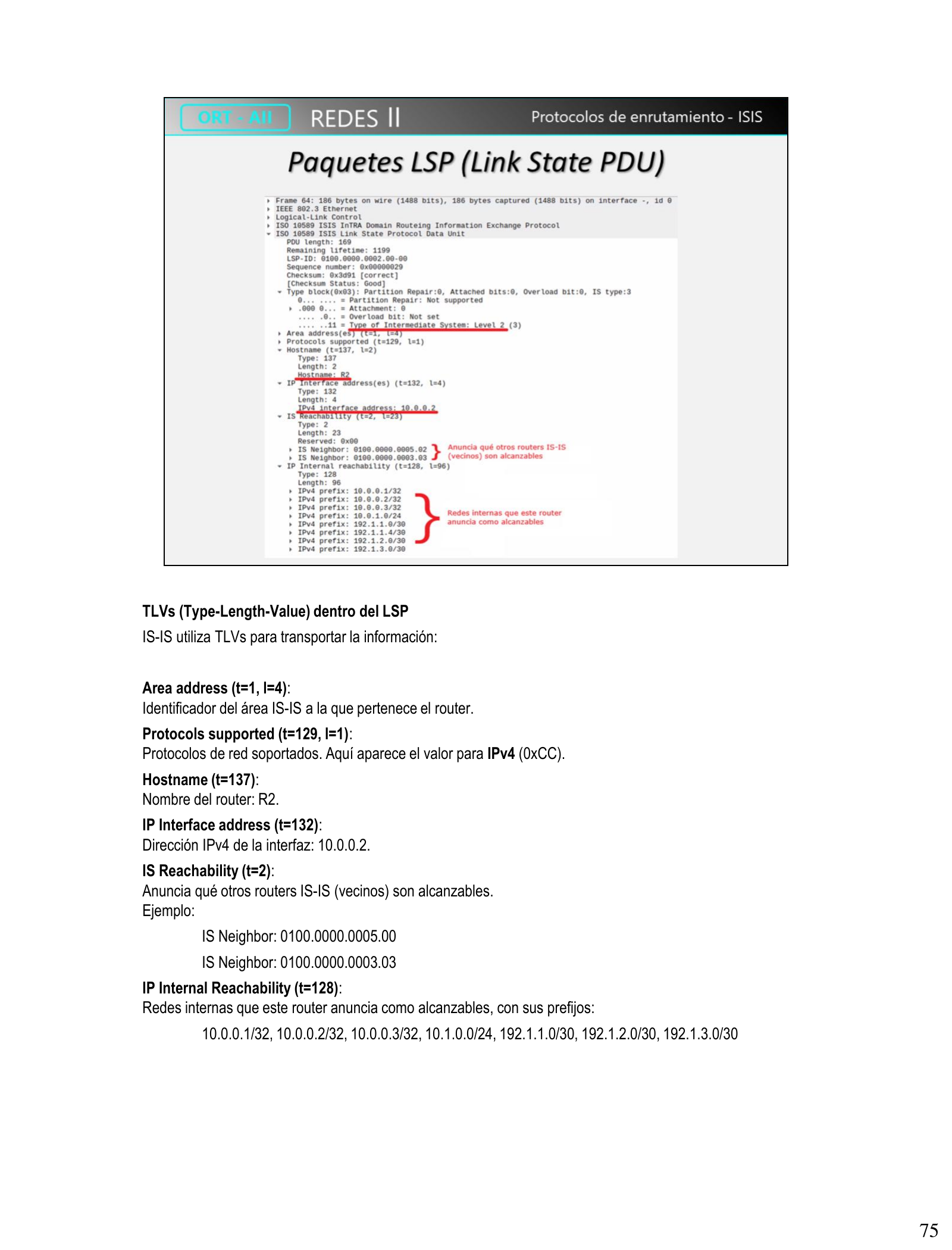 Captura Wireshark de un paquete LSP IS-IS anotado