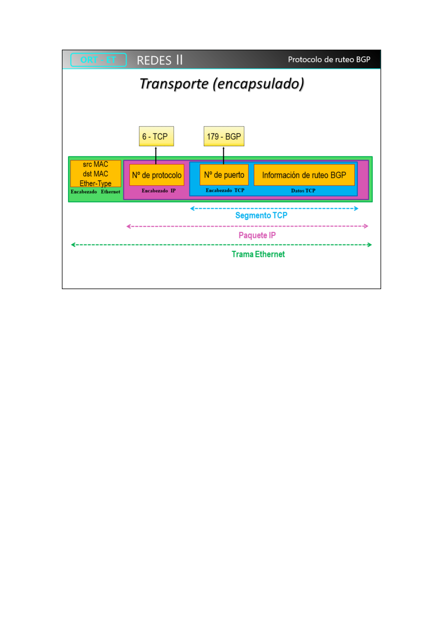 Encapsulado BGP sobre TCP puerto 179 sobre IP sobre Ethernet